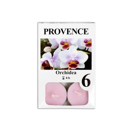 Provence Čajová svíčka 6ks orchidea